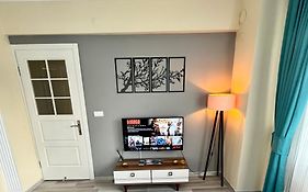 Mek Homes 1
